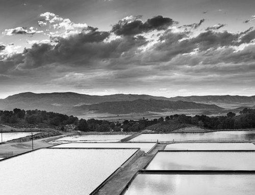 VIAJE AL CENTRO DE LA MINA